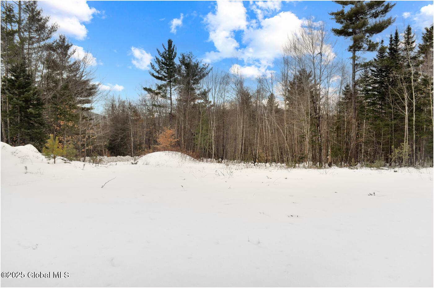 L88 Highview Lane Wevertown NY 12886