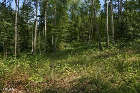 L88 Highview Lane Wevertown NY 12886