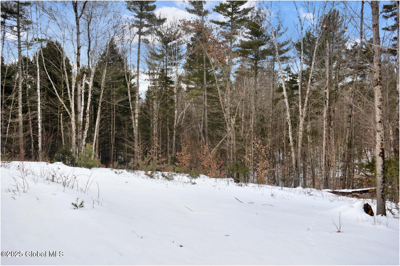 L88 Highview Lane Wevertown NY 12886