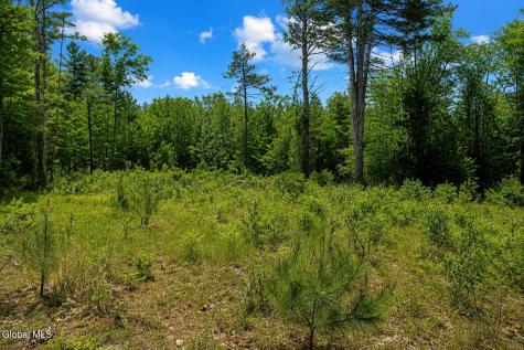 L88 Highview Lane Wevertown NY 12886