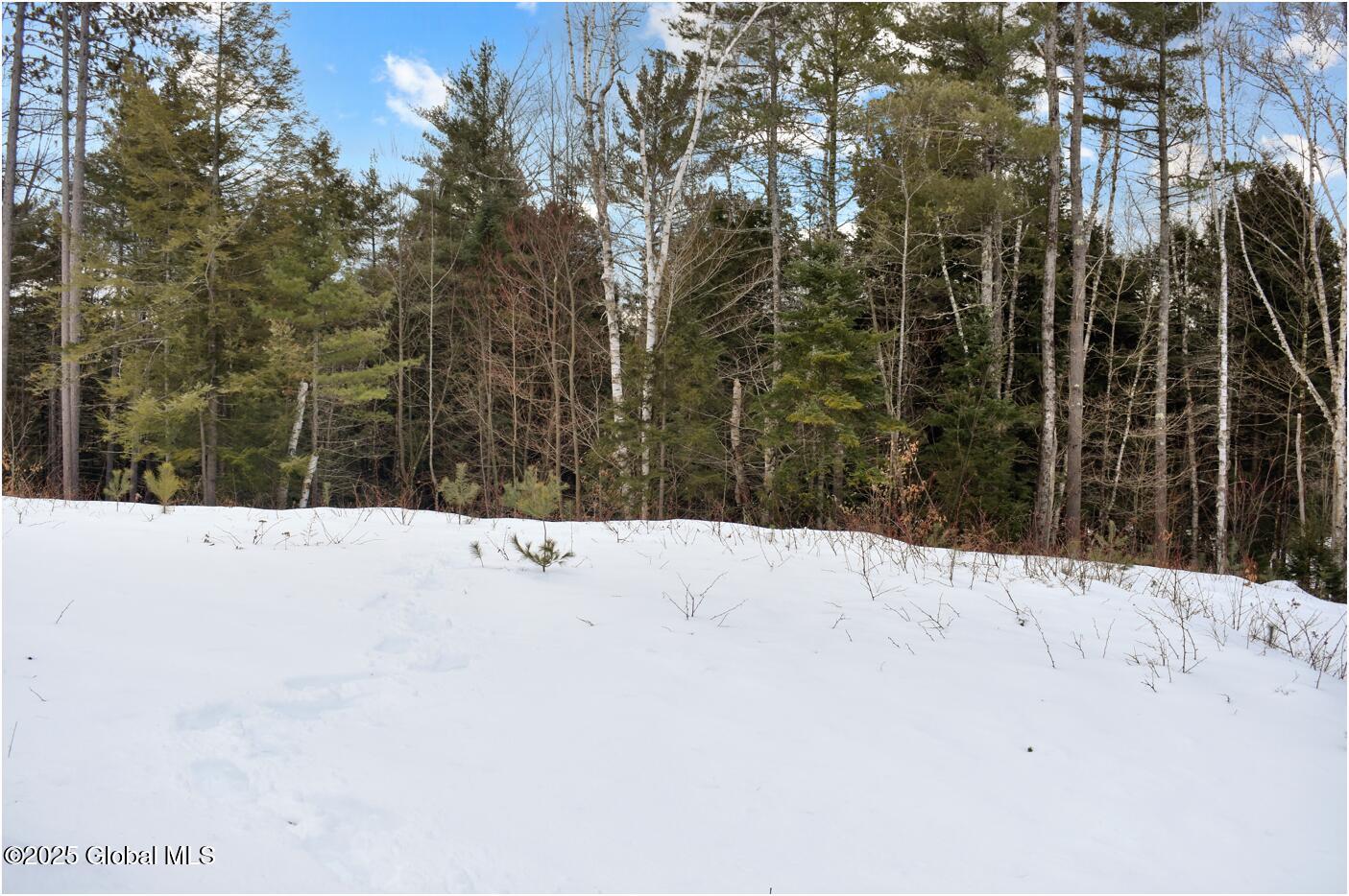 L88 Highview Lane Wevertown NY 12886