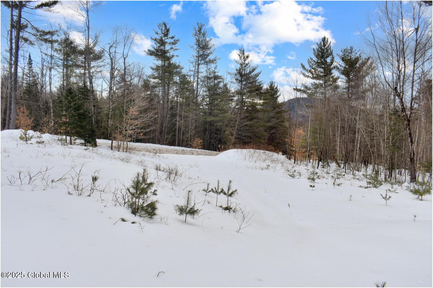 L88 Highview Lane Wevertown NY 12886