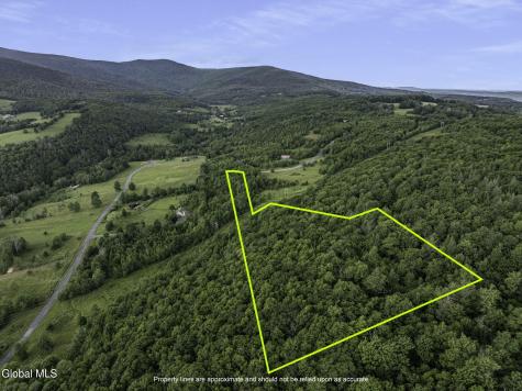 L20.2 Overlook Drive Prattsville NY 12452