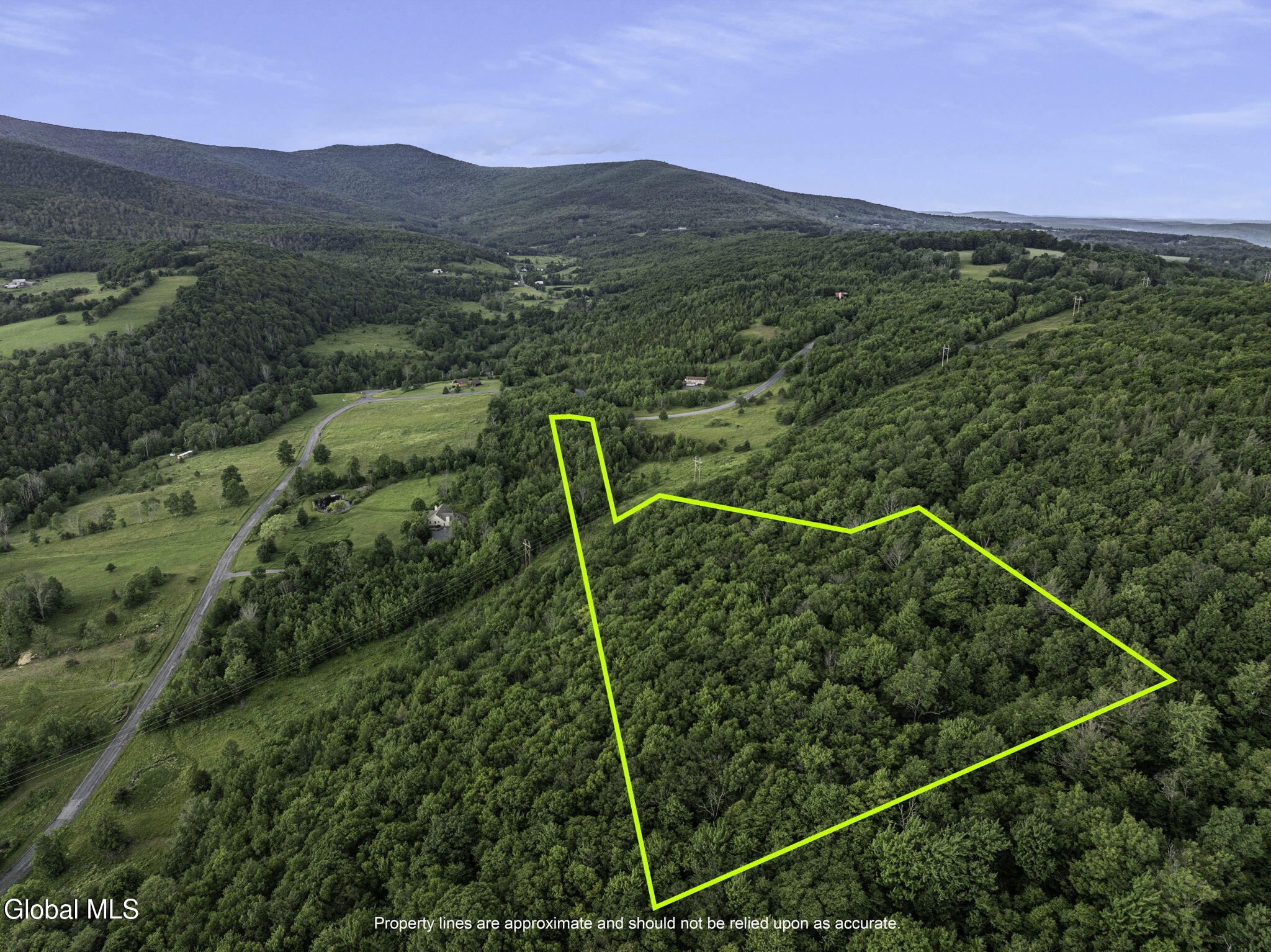 L20.2 Overlook Drive Prattsville NY 12452