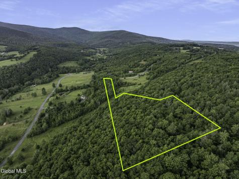 L20.2 Overlook Drive Prattsville NY 12452