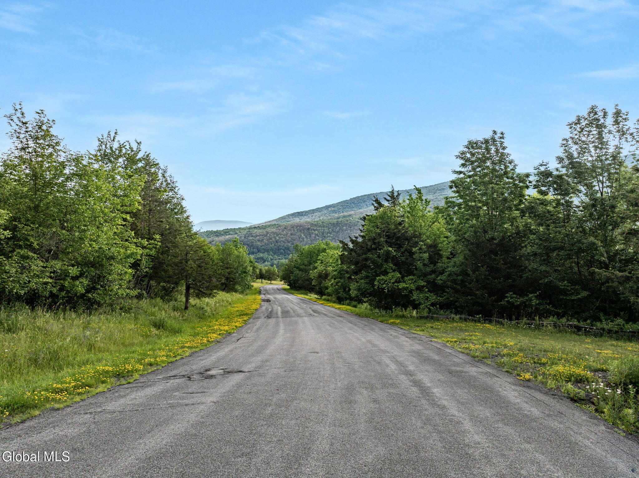 L20.2 Overlook Drive Prattsville NY 12452