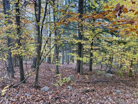 75 Carey Road Day NY 12835
