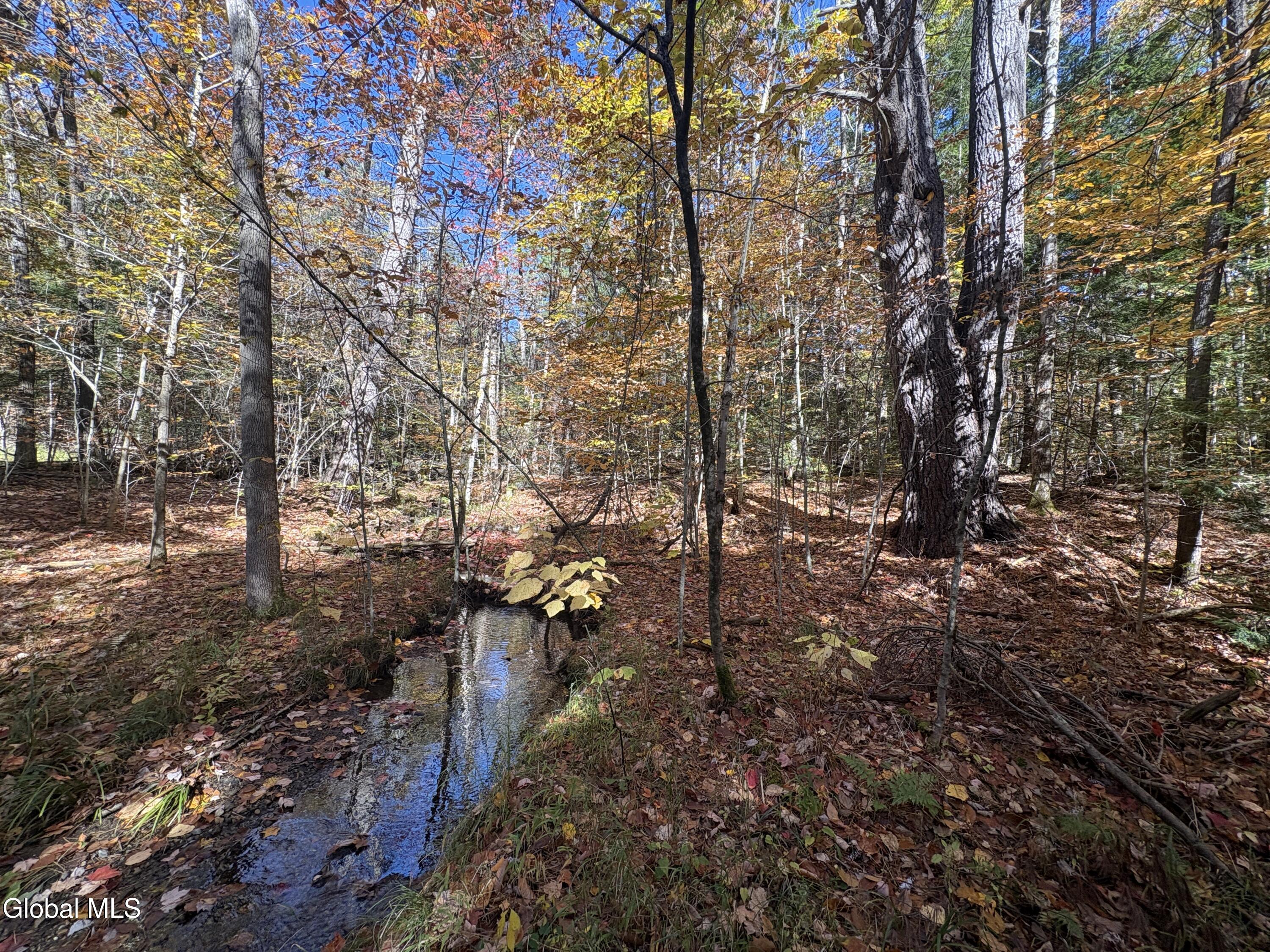 L4 Beartown Lake Luzerne NY 12846