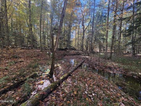 L4 Beartown Lake Luzerne NY 12846