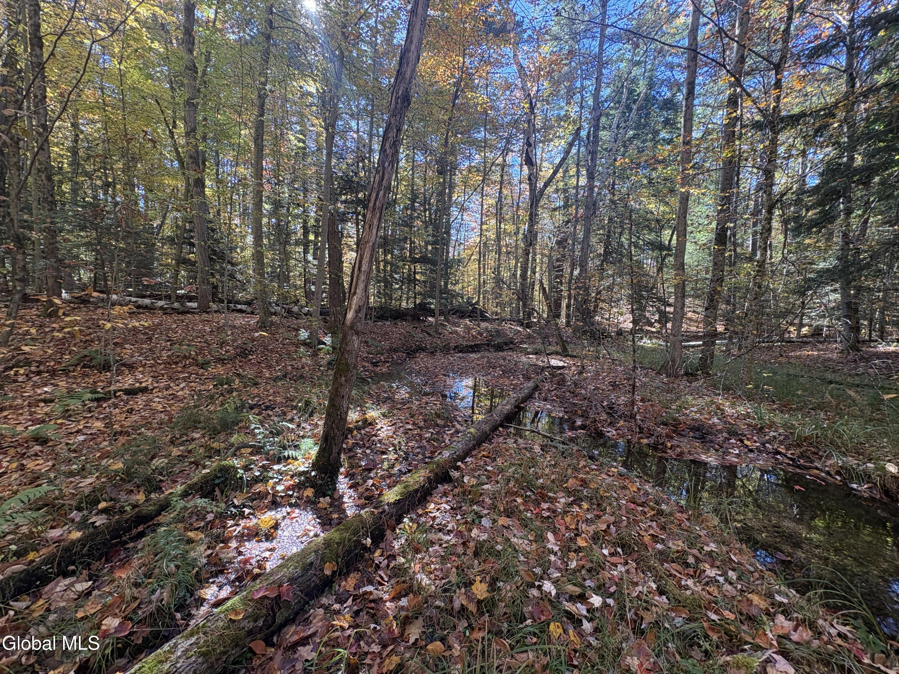 L4 Beartown Lake Luzerne NY 12846