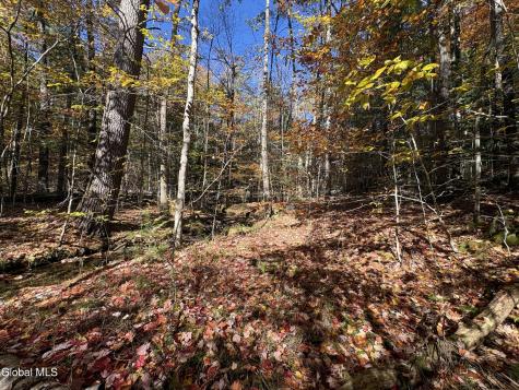 L4 Beartown Lake Luzerne NY 12846