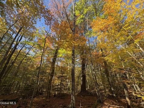 L4 Beartown Lake Luzerne NY 12846