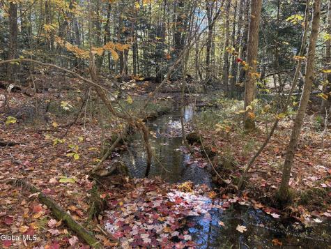 L4 Beartown Lake Luzerne NY 12846