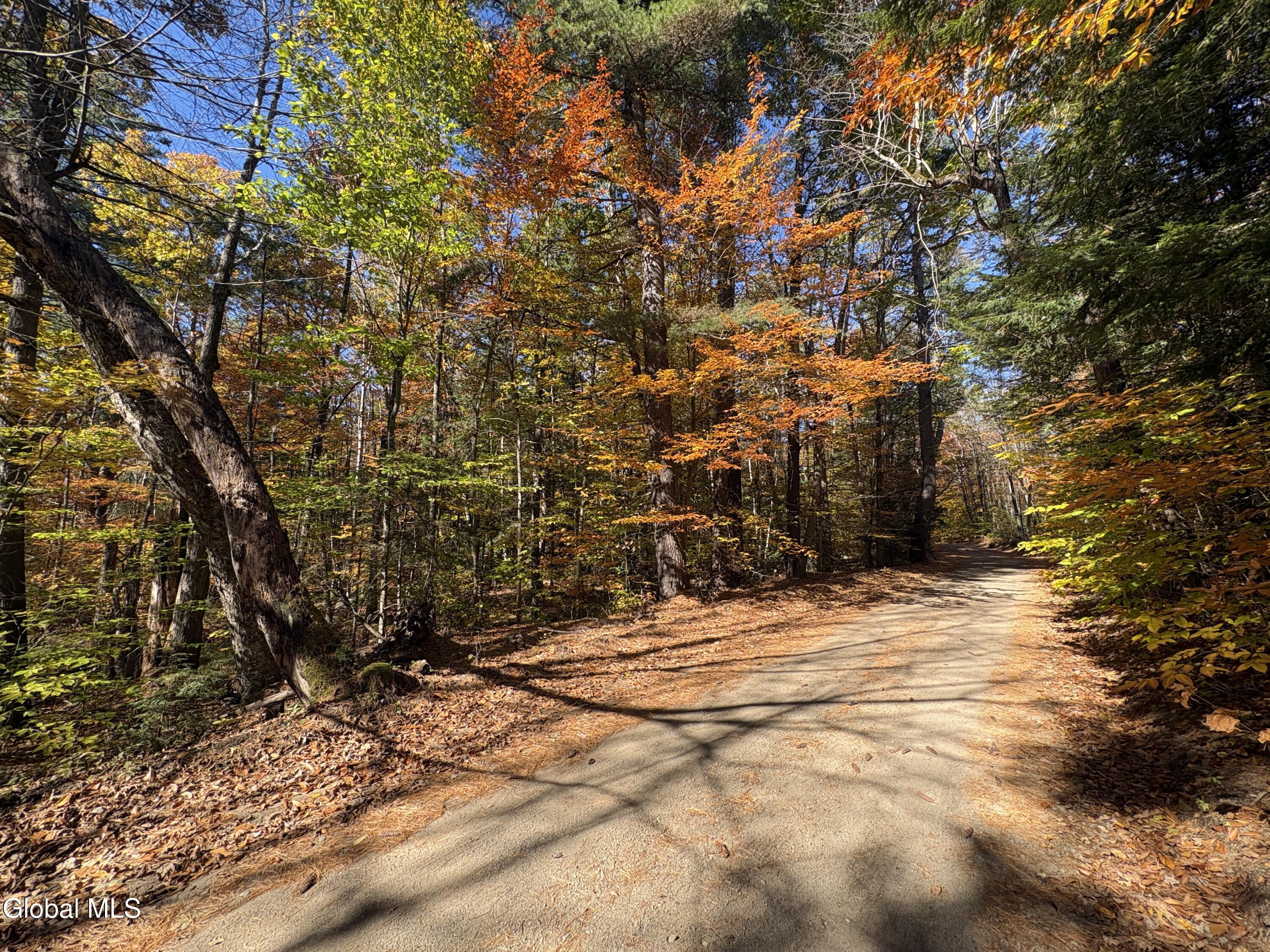 L4 Beartown Lake Luzerne NY 12846