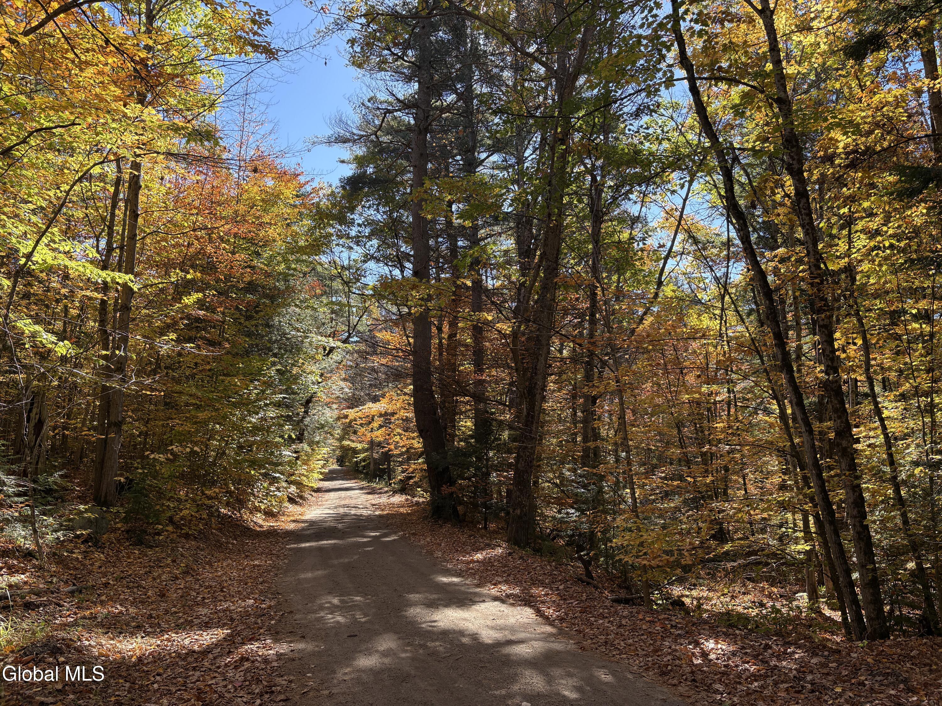 L4 Beartown Lake Luzerne NY 12846