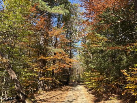 L4 Beartown Lake Luzerne NY 12846