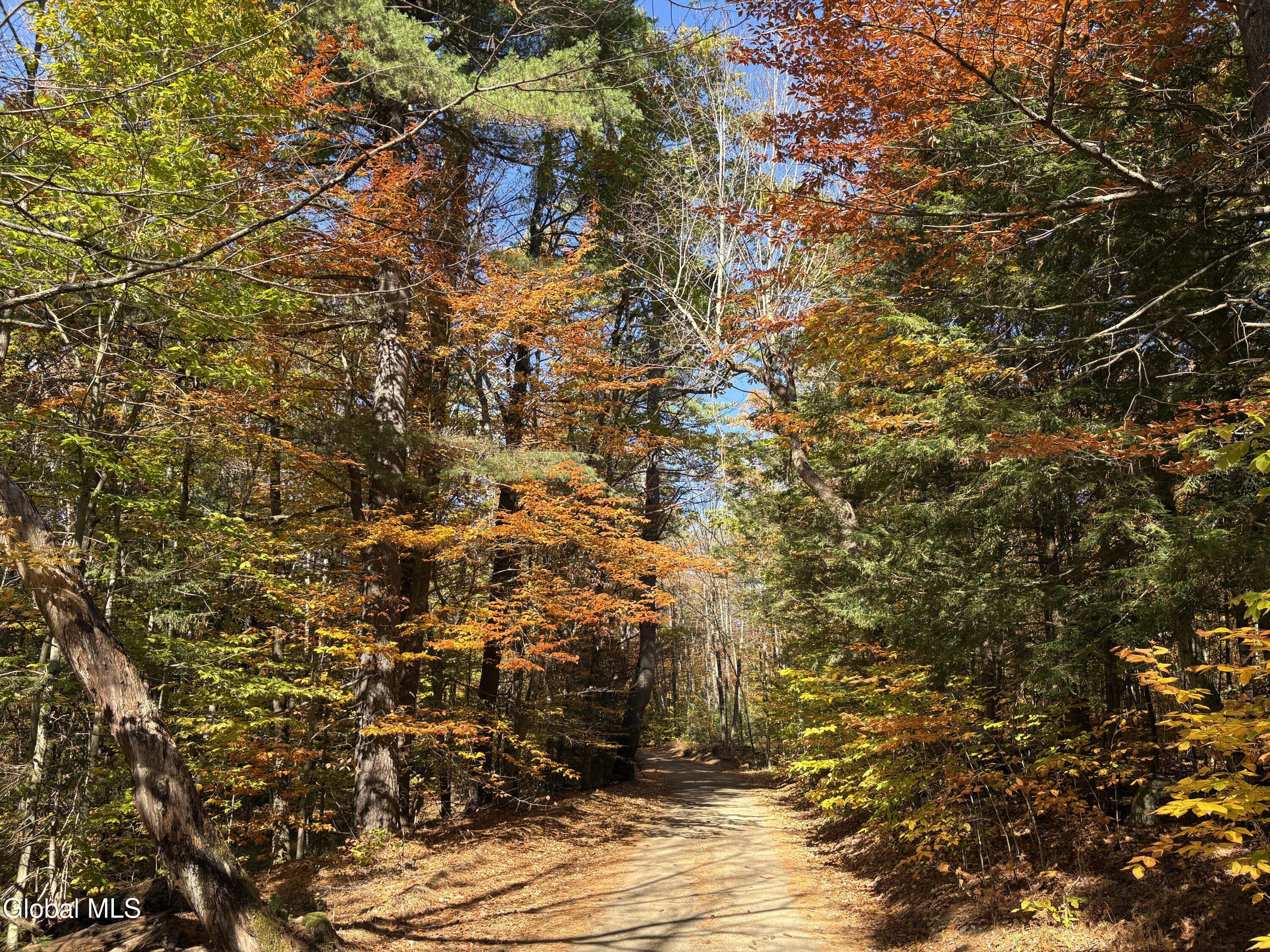 L4 Beartown Lake Luzerne NY 12846