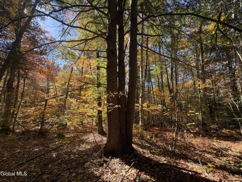 L4 Beartown Lake Luzerne NY 12846