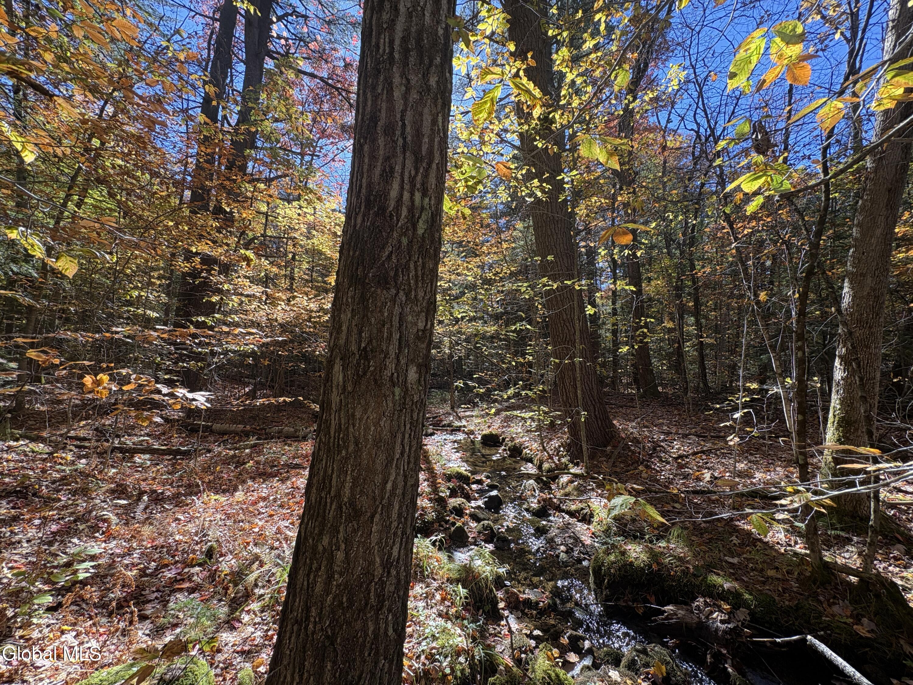 L4 Beartown Lake Luzerne NY 12846