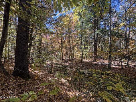 L4 Beartown Lake Luzerne NY 12846