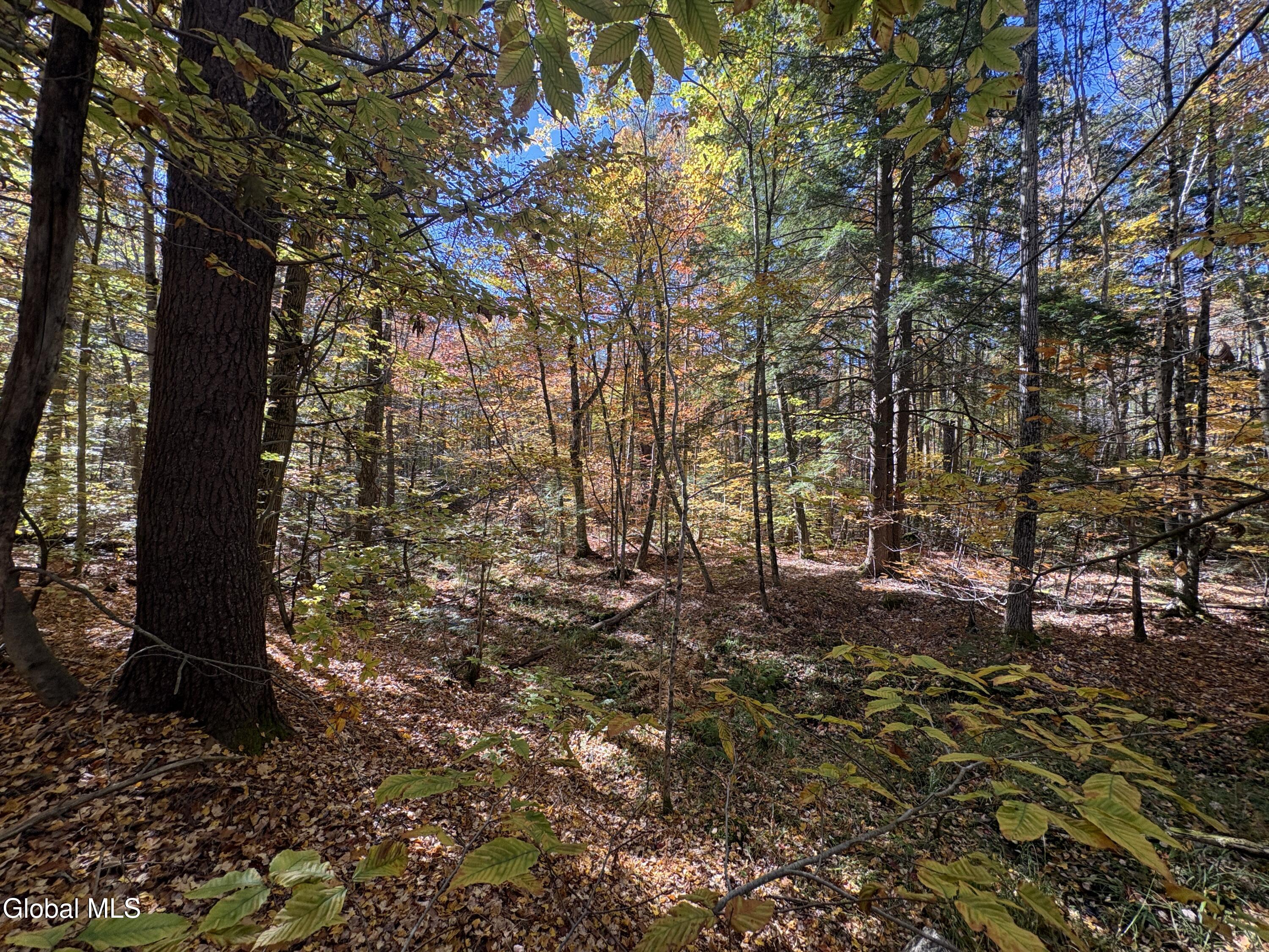 L4 Beartown Lake Luzerne NY 12846