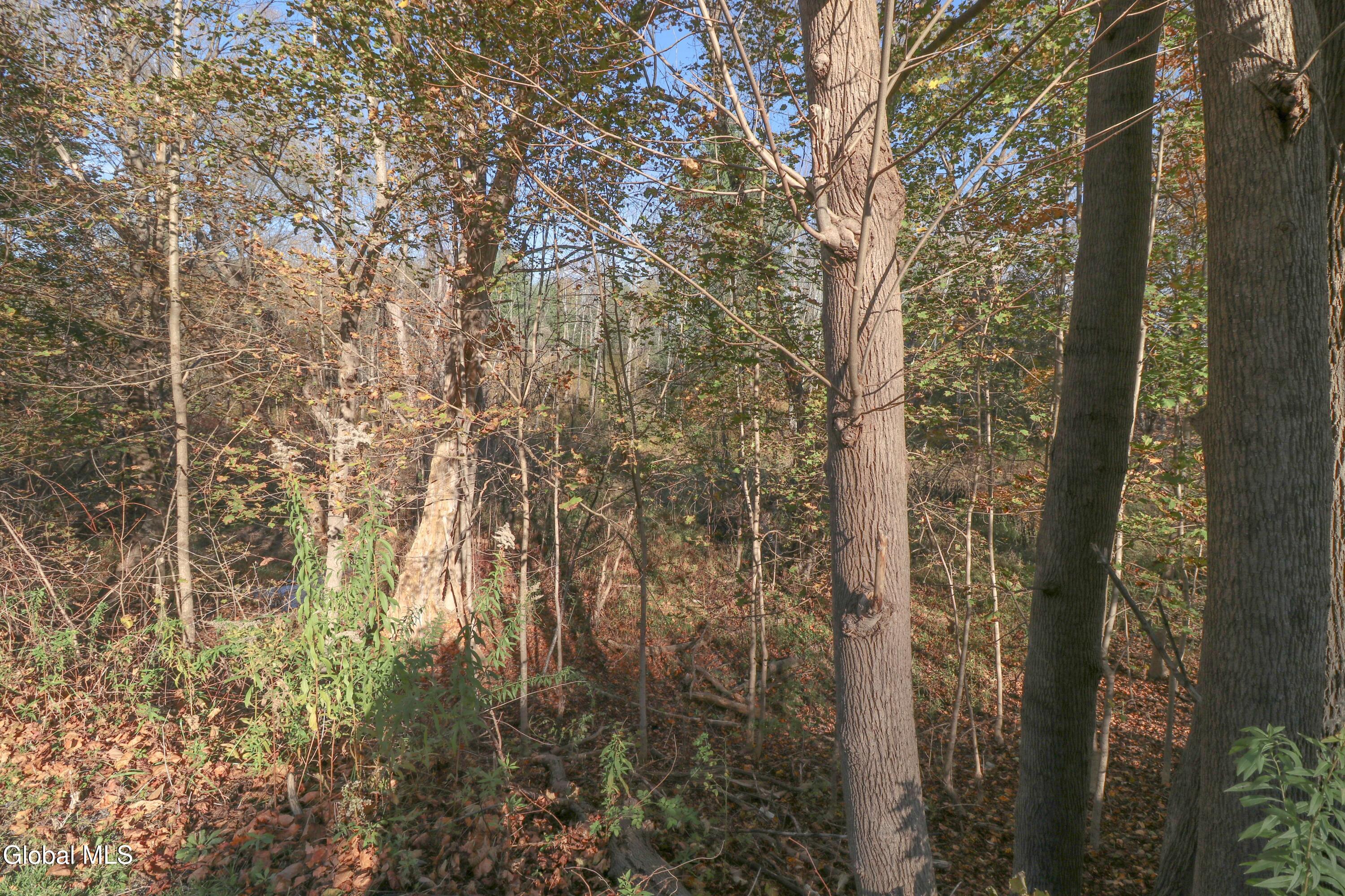 L2 Hovey Avenue Hoosick Falls NY 12090