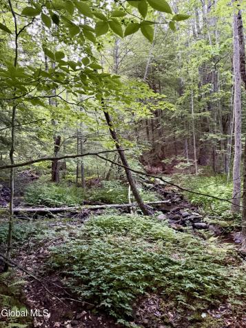 422 Old Peck Hill Road Gloversville NY 12078