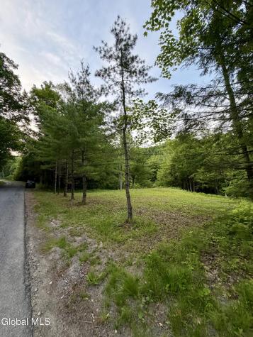 422 Old Peck Hill Road Gloversville NY 12078