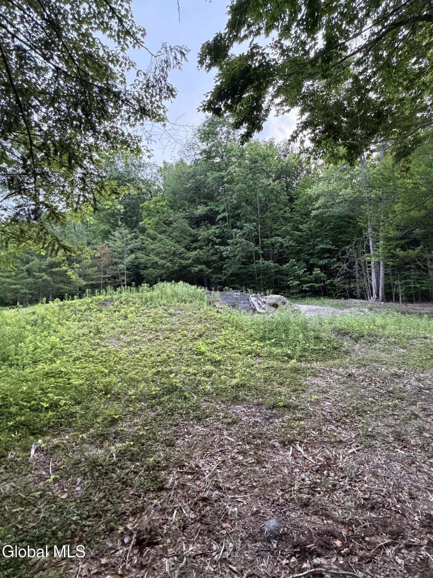 422 Old Peck Hill Road Gloversville NY 12078