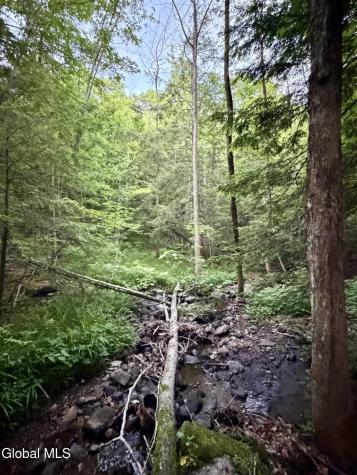 422 Old Peck Hill Road Gloversville NY 12078