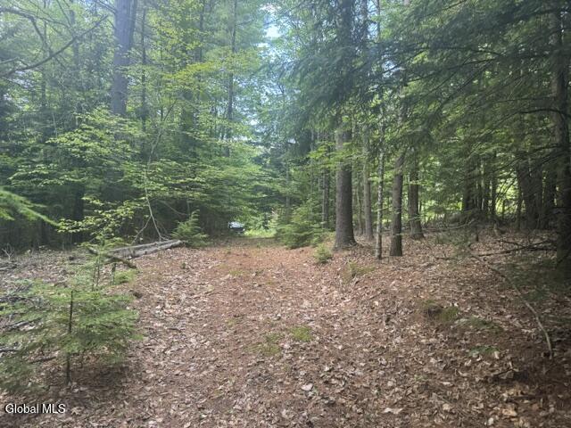 317 Waddell Road Riparius NY 12862