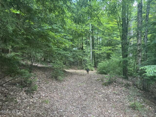 317 Waddell Road Riparius NY 12862