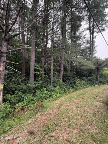L1 Nine Mile Tree Road Mayfield NY 12117