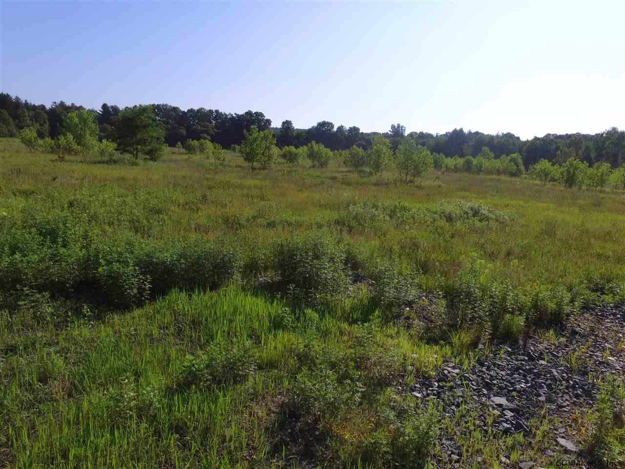 Lot 18 Us Route 9 Valatie NY 12184