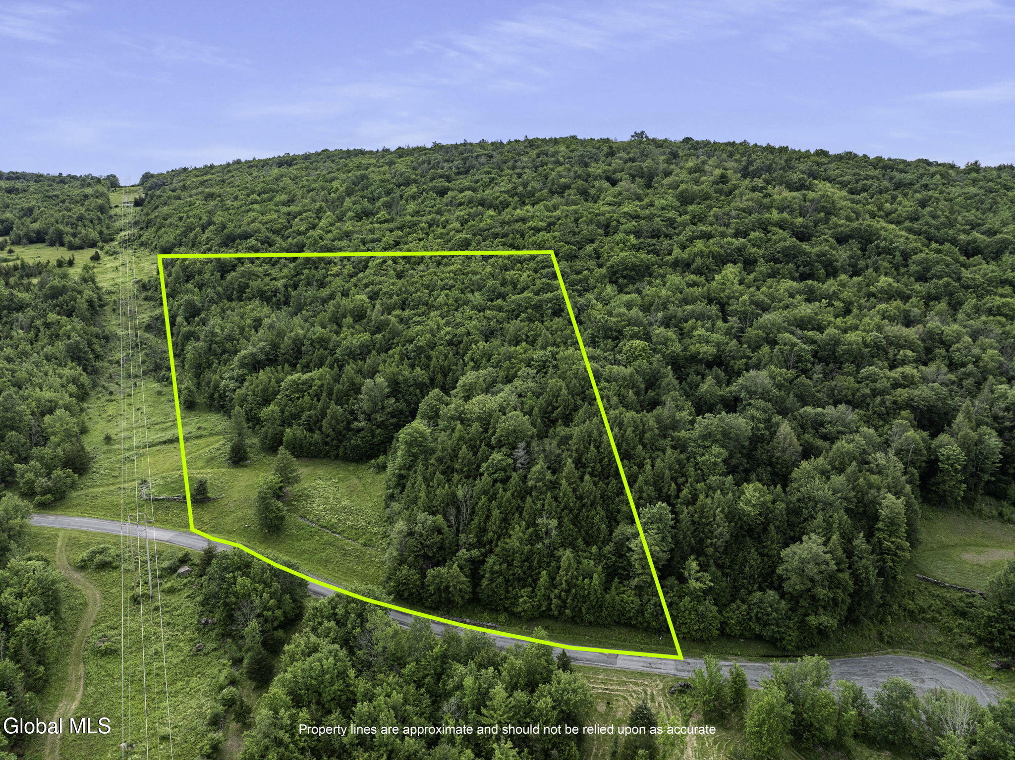 L28.1 Deer Lane Prattsville NY 12452
