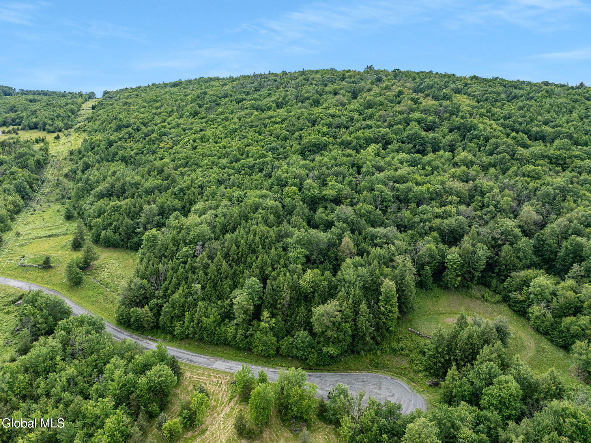 L28.1 Deer Lane Prattsville NY 12452