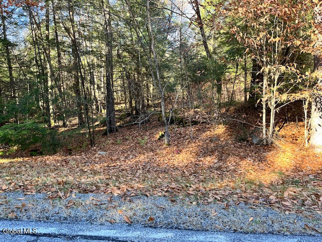 L5.322 South Trout Lake Road Bolton Landing NY 12814