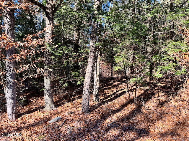L5.322 South Trout Lake Road Bolton Landing NY 12814