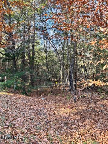 L5.322 South Trout Lake Road Bolton Landing NY 12814