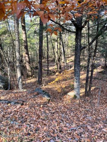 L5.322 South Trout Lake Road Bolton Landing NY 12814