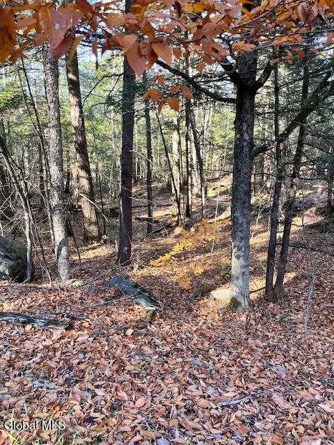 L5.322 South Trout Lake Road Bolton Landing NY 12814