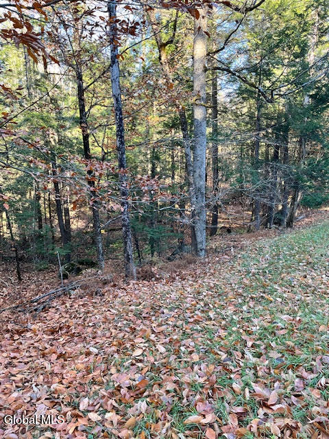 L5.322 South Trout Lake Road Bolton Landing NY 12814