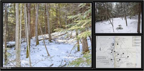 20 Carriage Knolls Road Chestertown NY 12817