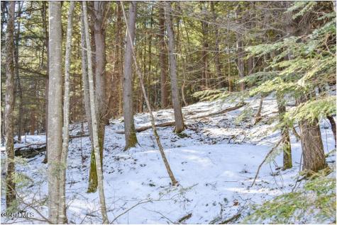 20 Carriage Knolls Road Chestertown NY 12817
