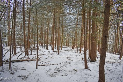 20 Carriage Knolls Road Chestertown NY 12817