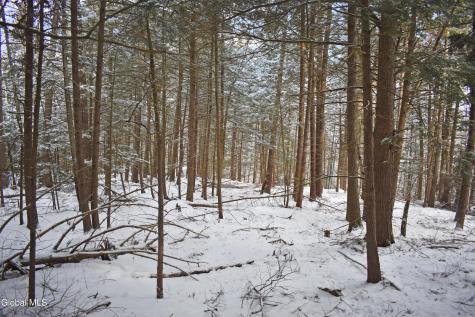 20 Carriage Knolls Road Chestertown NY 12817
