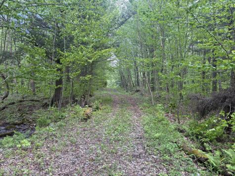 1448 1453 Sylvan Falls Road Hopkinton NY 12965