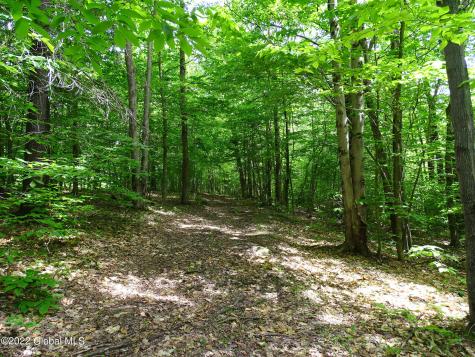 528 Dyken Pond Road Petersburgh NY 12138