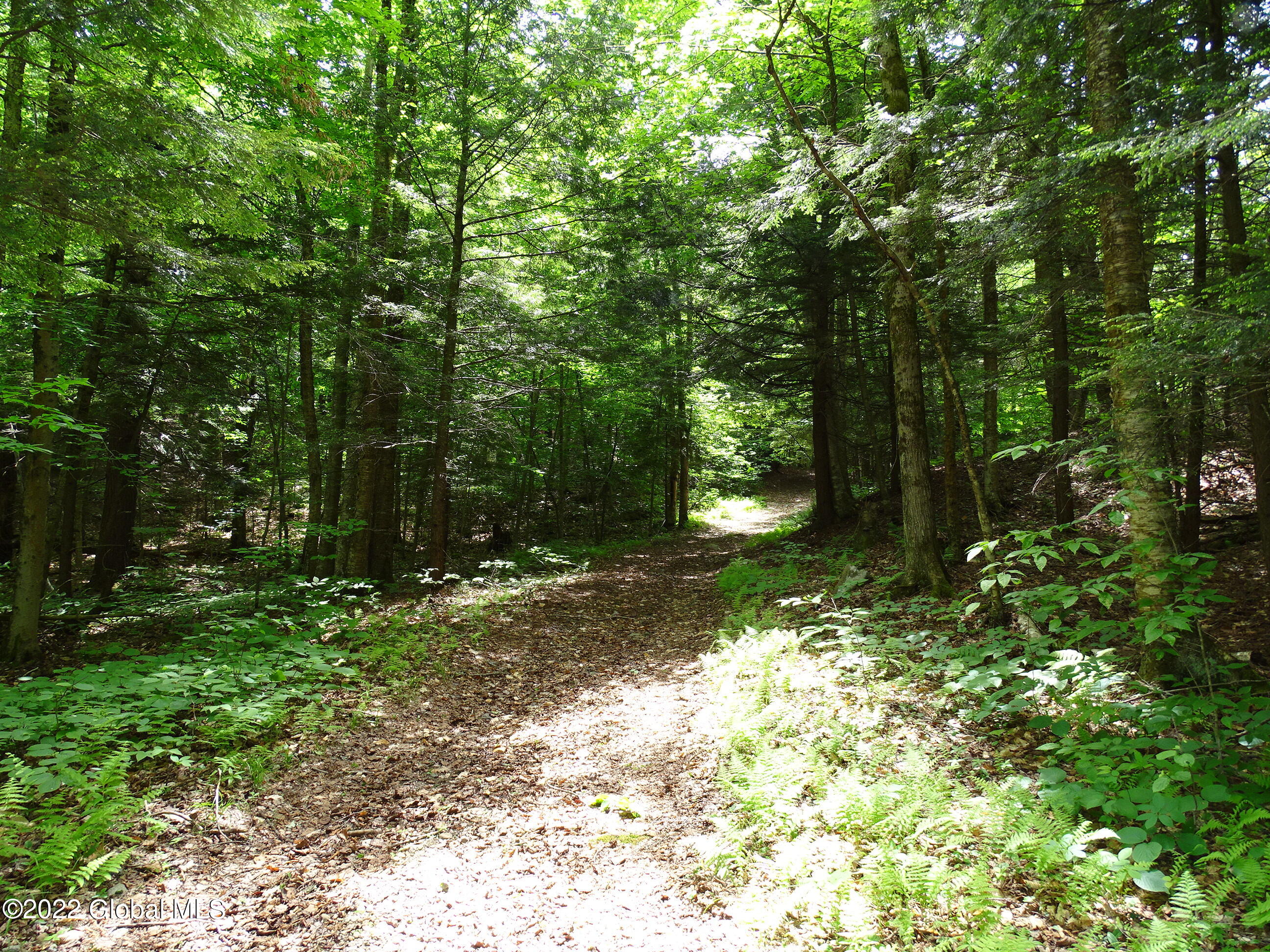 528 Dyken Pond Road Petersburgh NY 12138