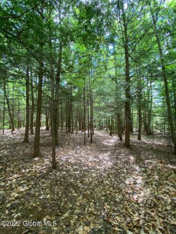528 Dyken Pond Road Petersburgh NY 12138